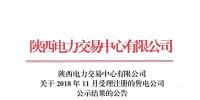 陕西关于2018年11月受理注册的售电公司公示结果的公告