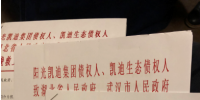 多家机构上书政府挽救企业 *ST凯迪核心资产将被拍卖