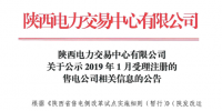 陕西2019年1月8家售电公司公示名单