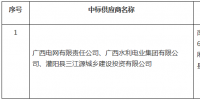 广西灌阳县工业集中区增量配电业务改革试点项目业主采购中标公告