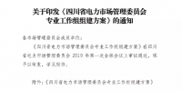 四川省电力市场管理委员会专业工作组组建方案发布