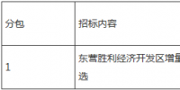 东营胜利经济开发区<font color=