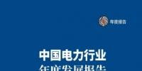 中电联发布《中国电力行业年度发展<font color=
