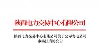 陕西电力交易中心对4家售电公司进行市场注销