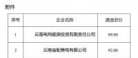 2025年云南电力市场保底售电公司候选名单公示！